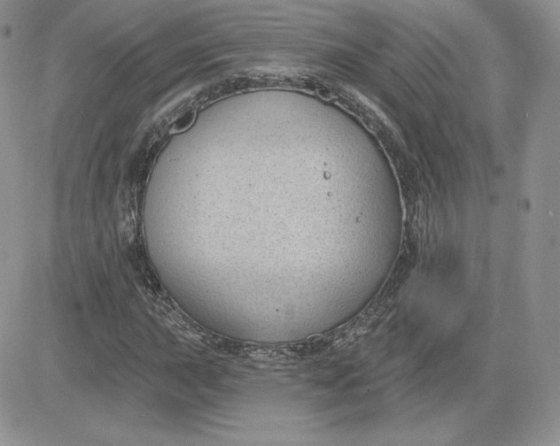 X0000081561015200701291144