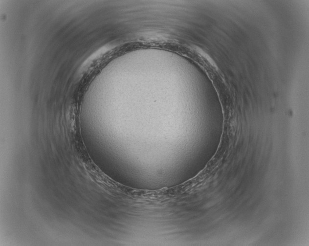 X0000081561016200701291144