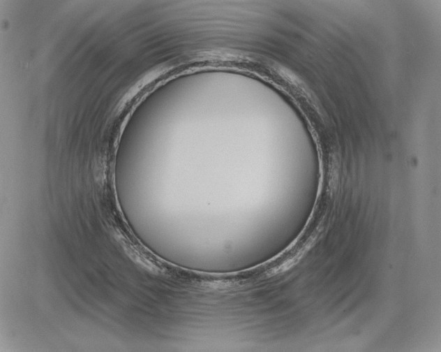 X0000081561017200701291144