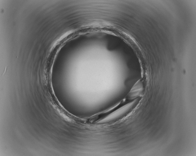 X0000081561018200701291144