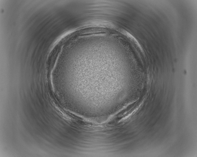 X0000081561019200701291144