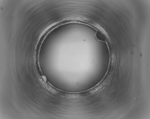 X0000081561020200701291144