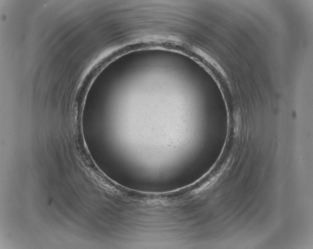 X0000081561021200701291144