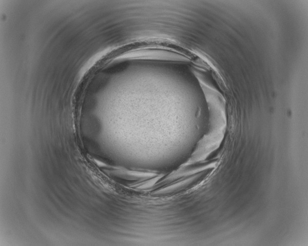 X0000081561022200701291144