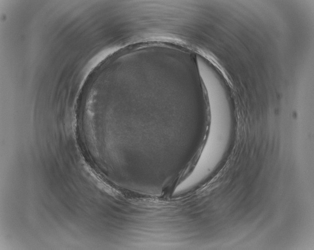 X0000081561024200701291144