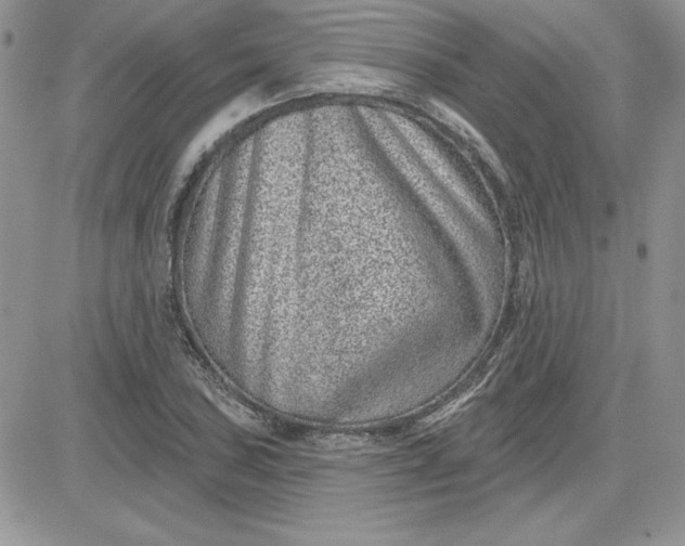 X0000081561027200701291144