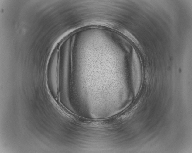 X0000081561028200701291144