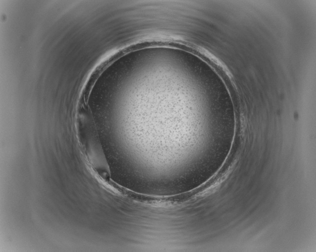 X0000081561029200701291144