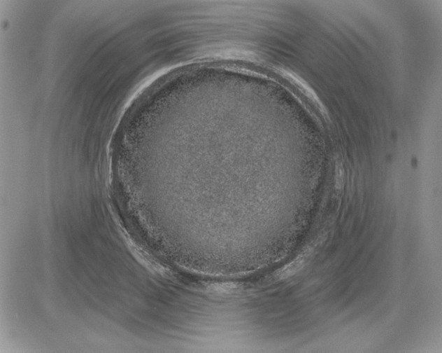 X0000081561031200701291144