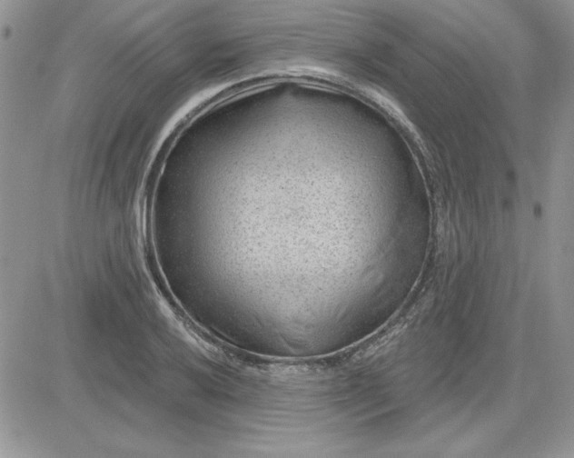 X0000081561032200701291144