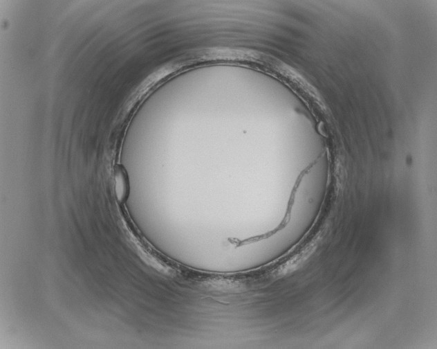 X0000081561033200701291144