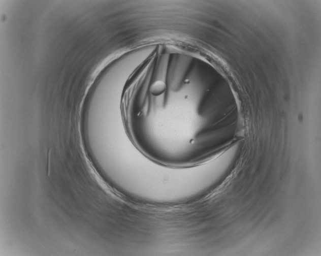 X0000081561034200701291144