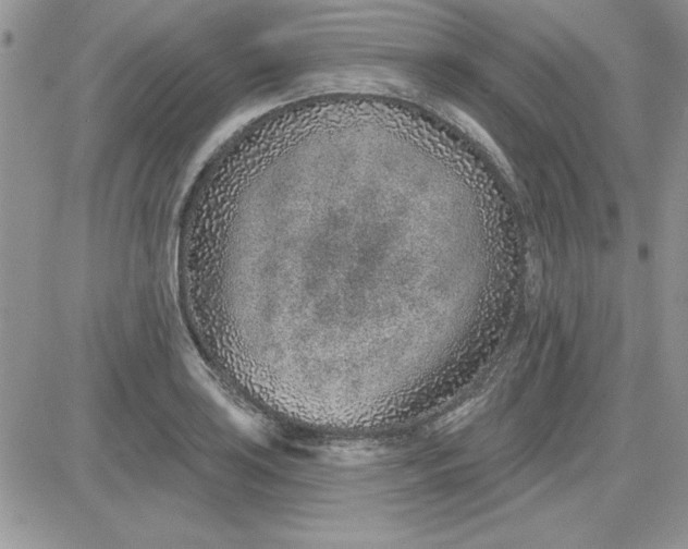 X0000081561035200701291144