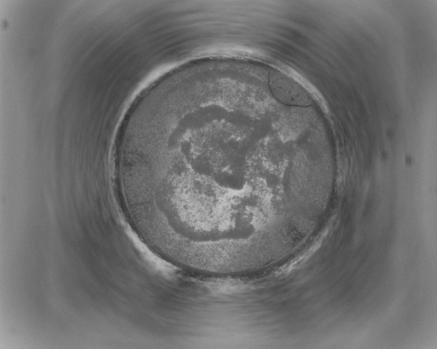 X0000081561037200701291144