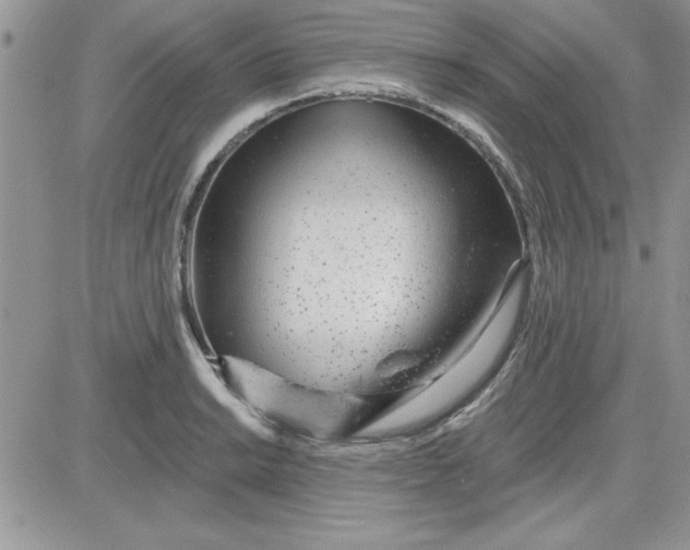 X0000081561038200701291144