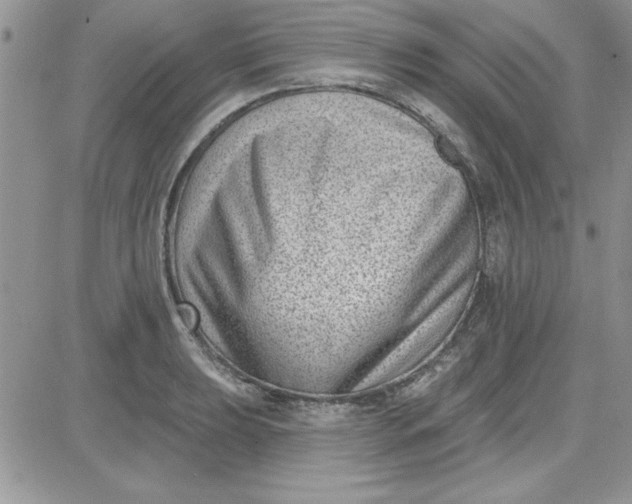 X0000081561039200701291144