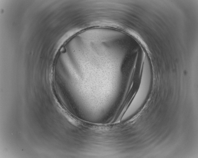 X0000081561040200701291144