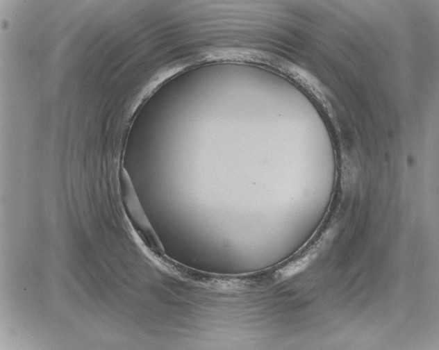 X0000081561041200701291144