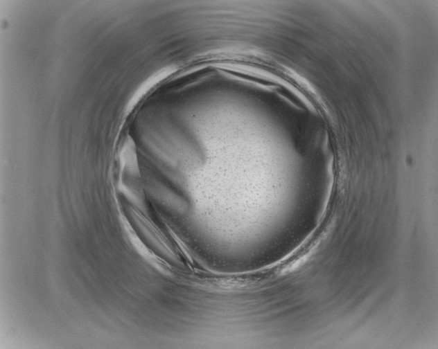 X0000081561042200701291144