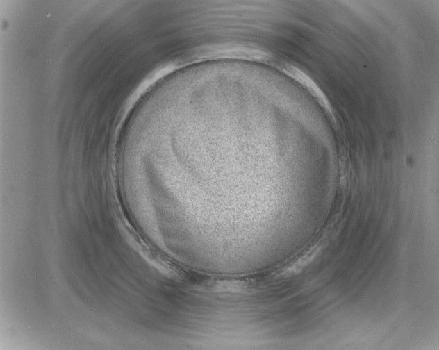 X0000081561043200701291145