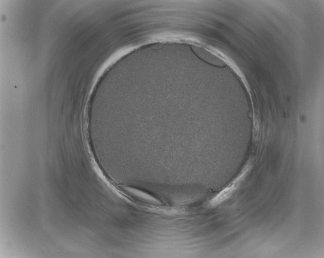 X0000081561045200701291145