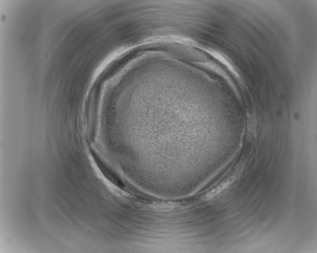 X0000081561046200701291145