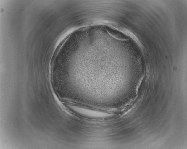 X0000081561047200701291145