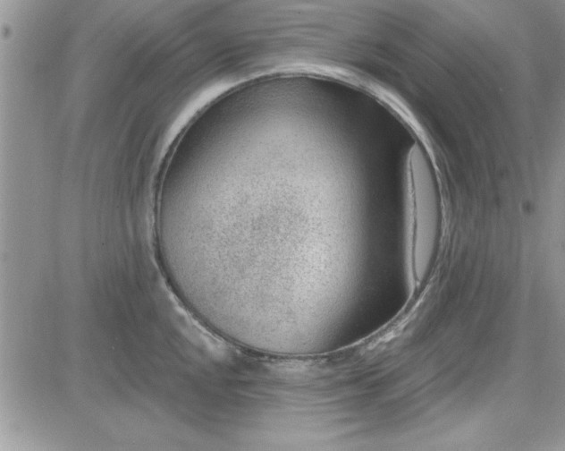 X0000081561048200701291145