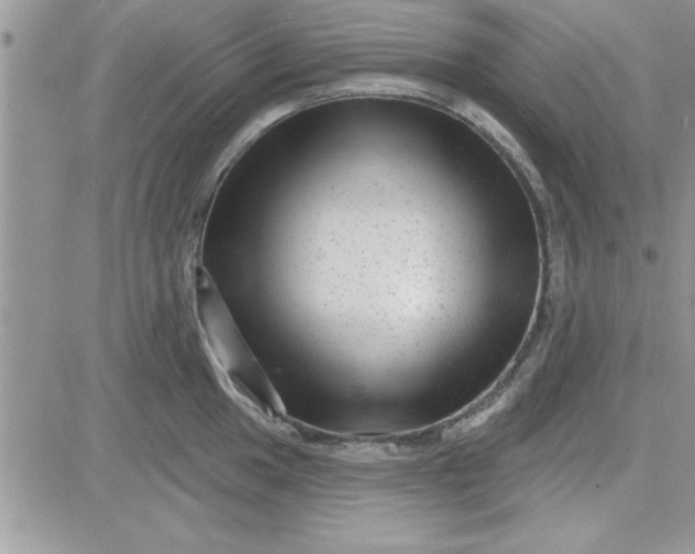 X0000081561049200701291145