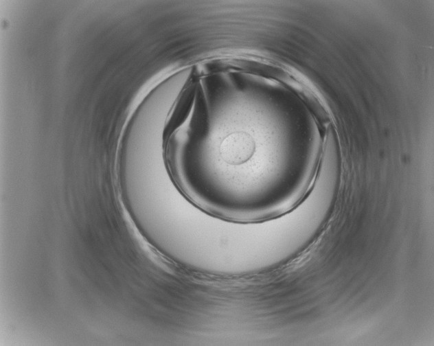 X0000081561050200701291145