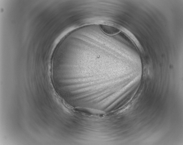 X0000081561051200701291145