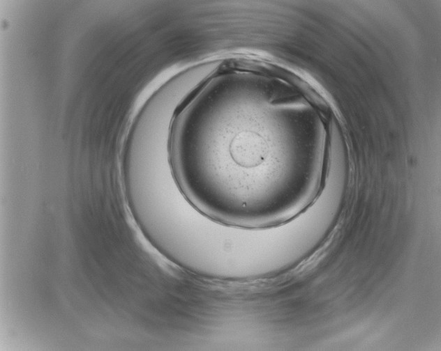 X0000081561054200701291145