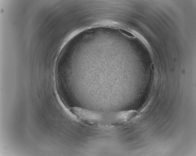 X0000081561055200701291145