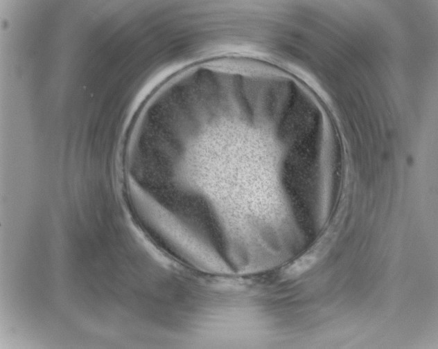 X0000081561056200701291145