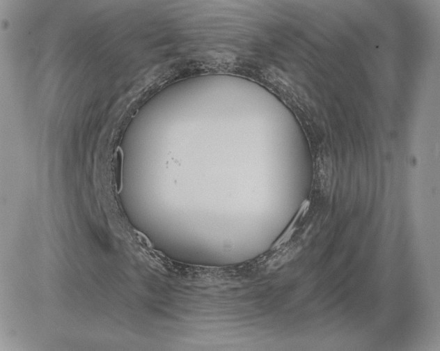 X0000081561057200701291144