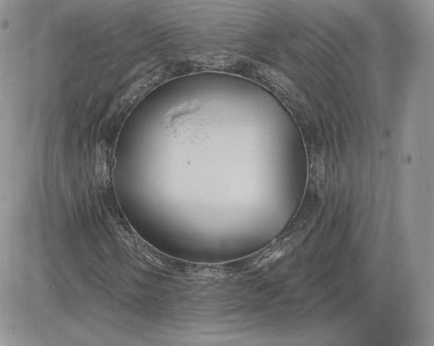 X0000081561058200701291144