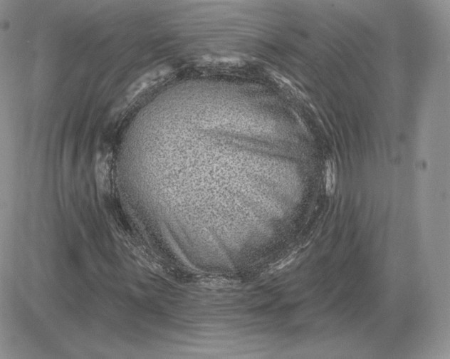 X0000081561059200701291144