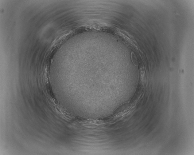 X0000081561060200701291144