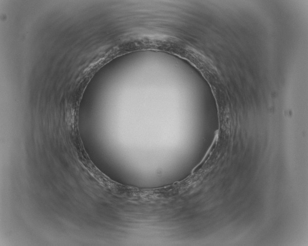 X0000081561061200701291144