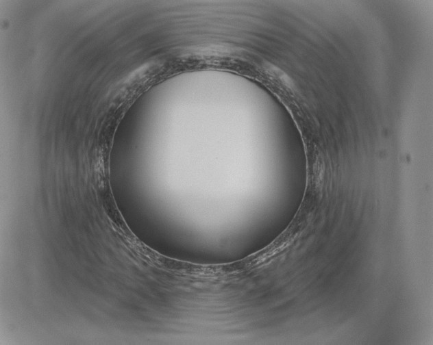 X0000081561062200701291144