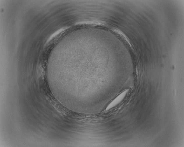 X0000081561064200701291144