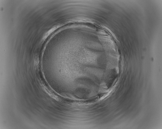 X0000081561065200701291144