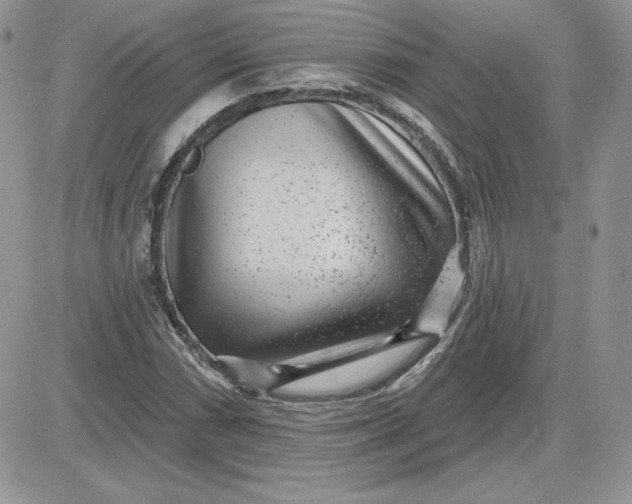 X0000081561066200701291144