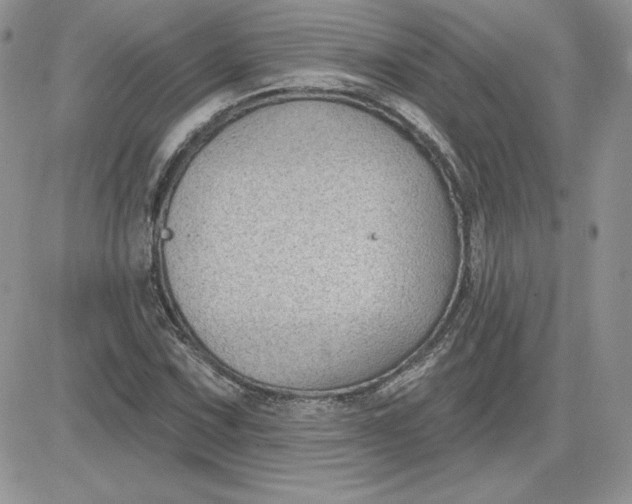 X0000081561067200701291144