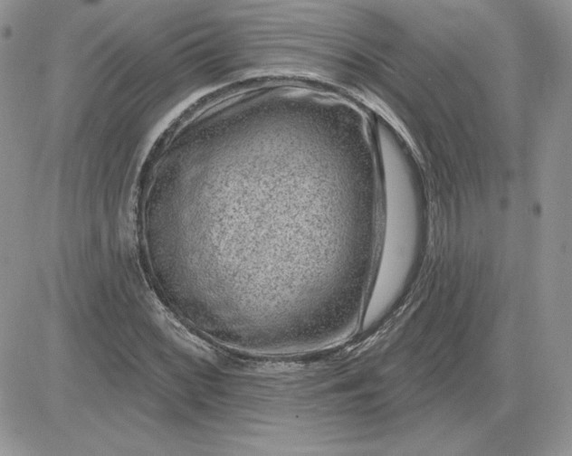 X0000081561068200701291144