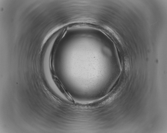 X0000081561069200701291144