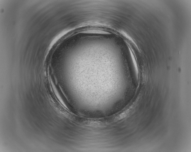 X0000081561070200701291144