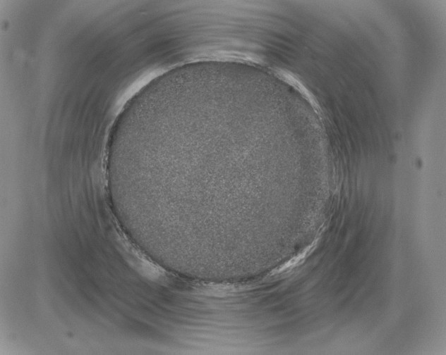 X0000081561071200701291144