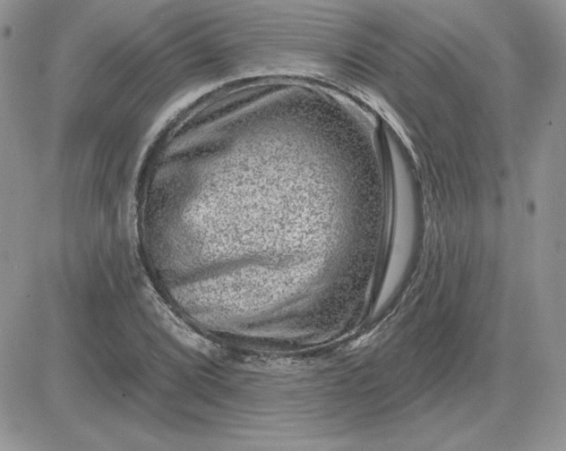 X0000081561072200701291144