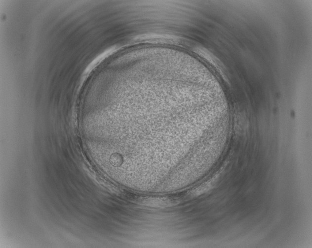 X0000081561074200701291144